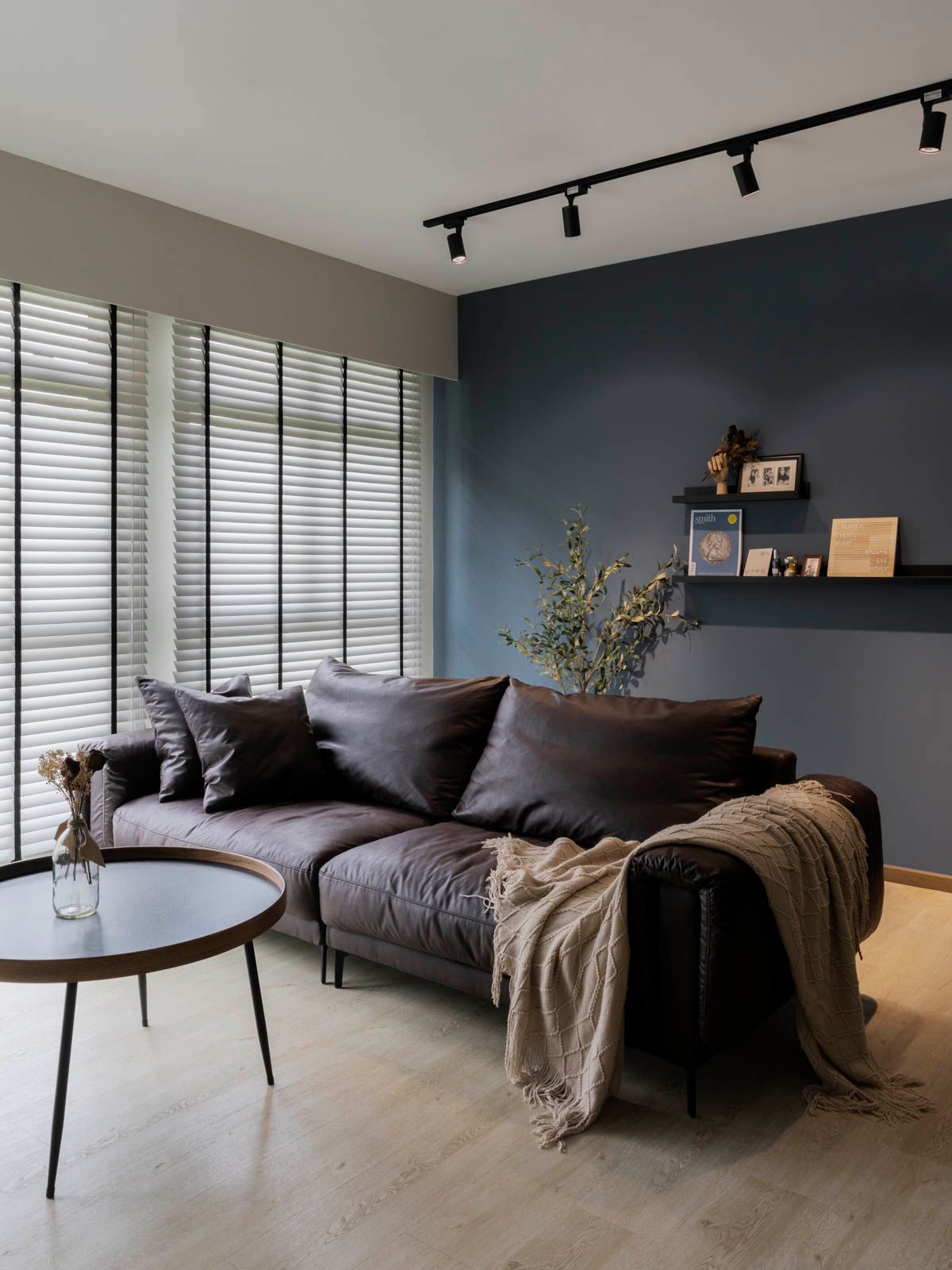 modern contemporary, living room