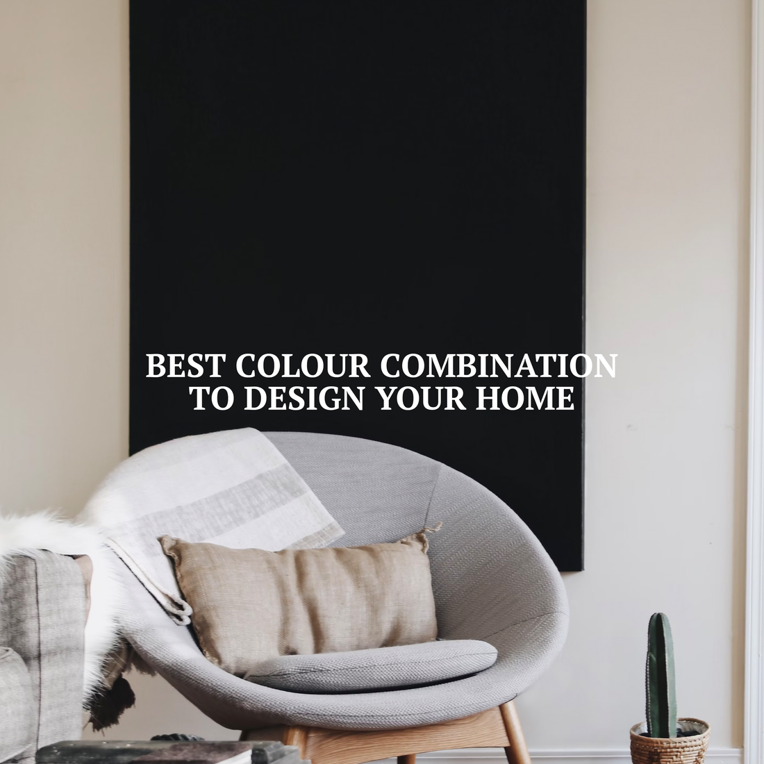 Best colour combination to design your home in 2023!